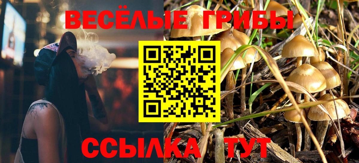 Псилоцибиновые грибы мухоморы Минеральные Воды